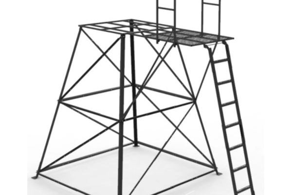 10 Foot Stand with Ladder