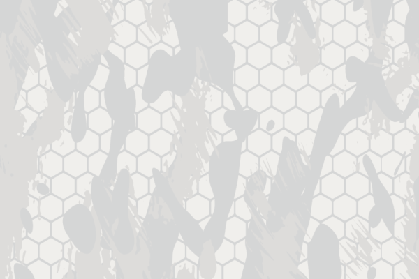 hunt orion camo background