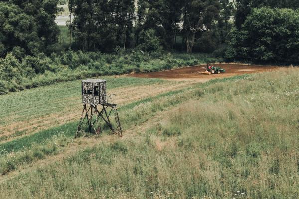 blind in a field