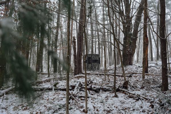 Orion 68T in snowy woods
